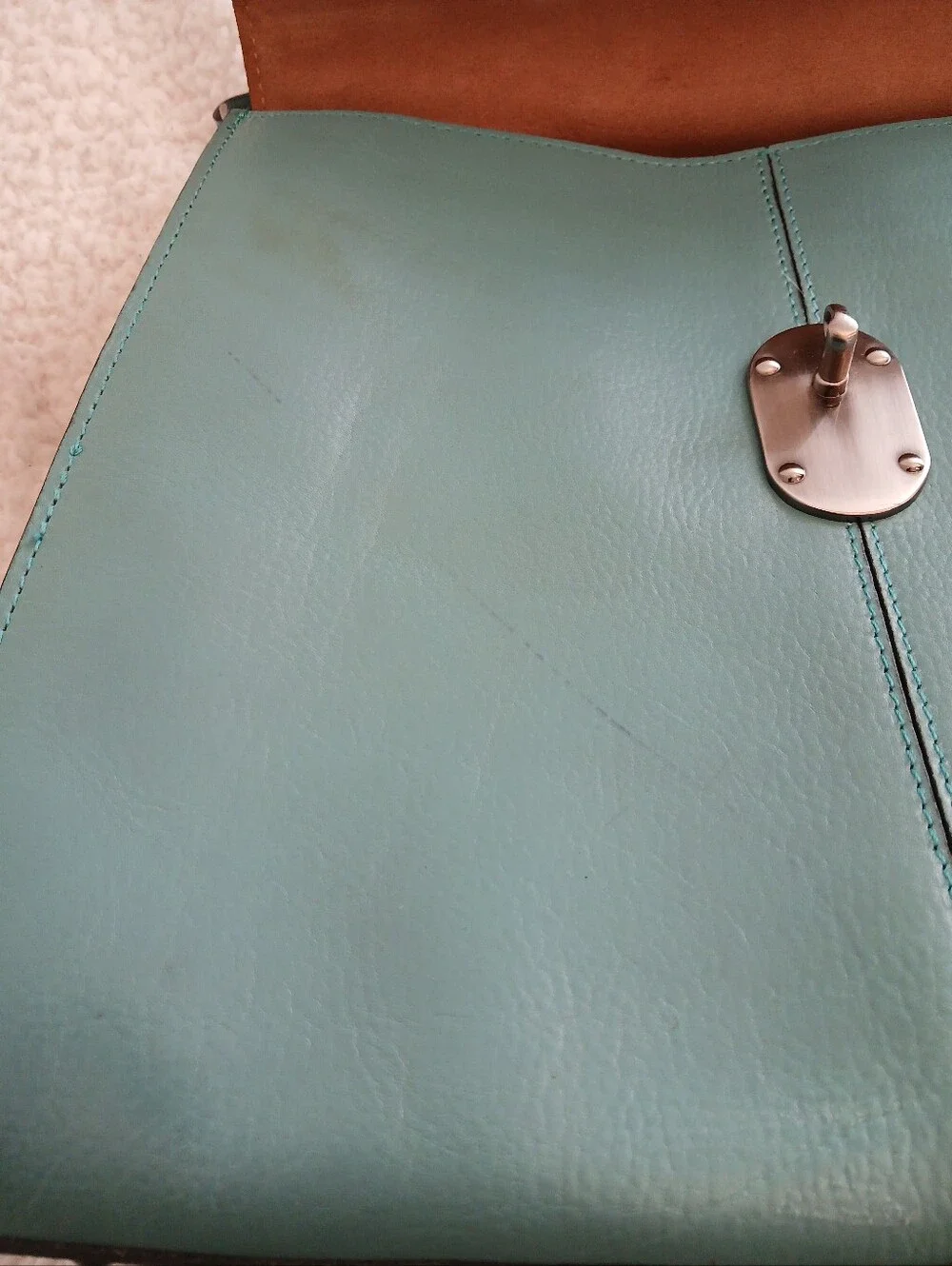 Patricia Nash Brailes Top Handle In Blue Grass